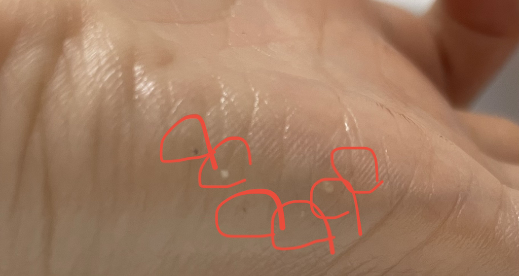 帕奈儿 阿哈五味子瓷肌洁颜油 review image