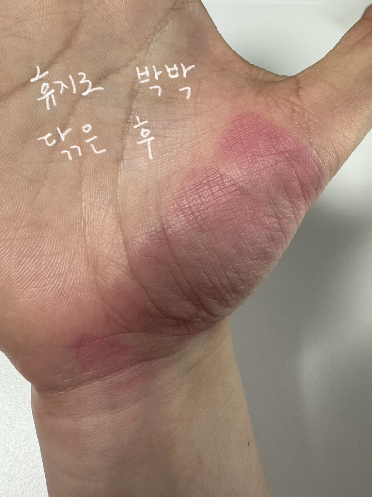 클리오 (CLIO) 토이스토리 콜라보 볼륨메이트 블러틴트 [107 스틸러핑크] review image