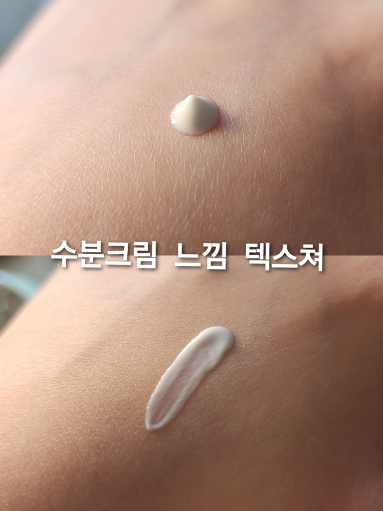 미즈온 (MIZON) 인아웃 워터리 시어 선스크린 [SPF50/PA++++] review image