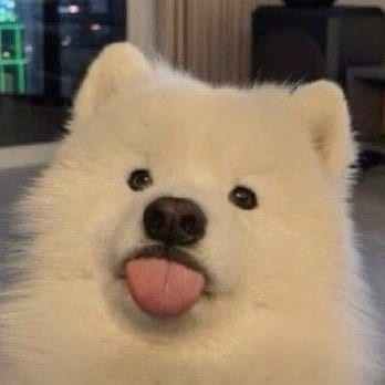 yu*********** profile image