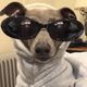 bb****** profile image