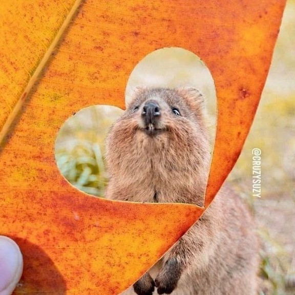 rl******** profile image