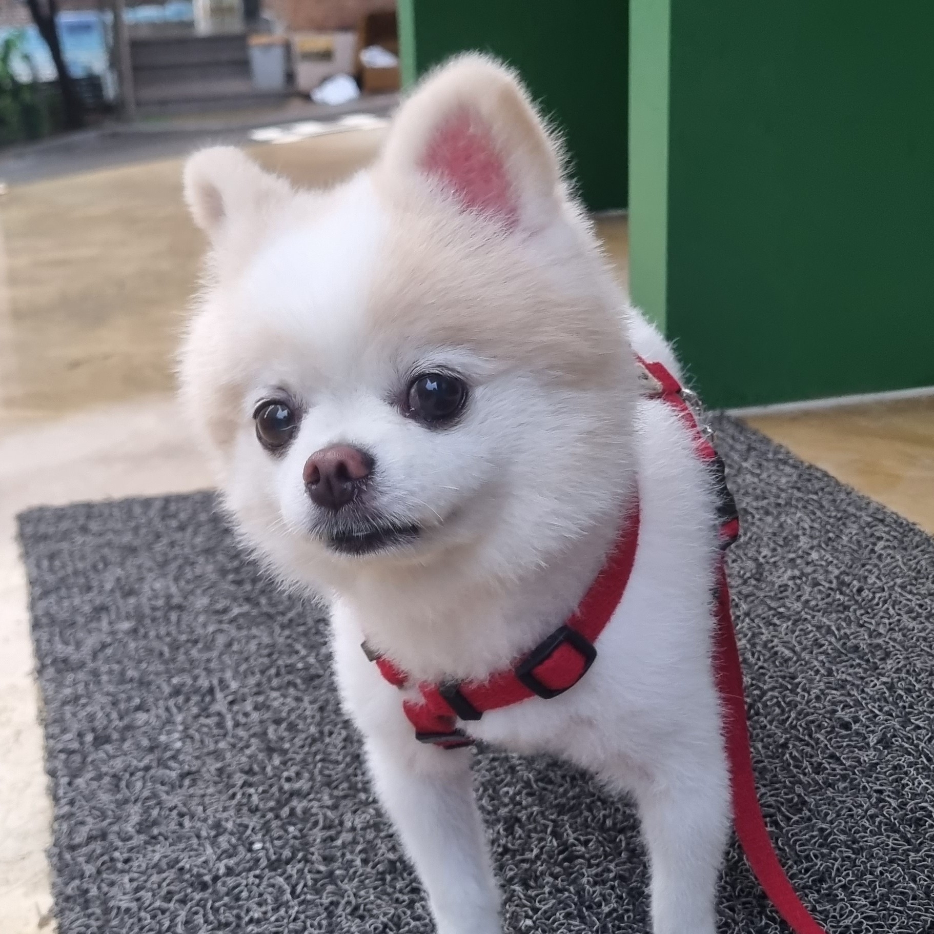 ca**** profile image