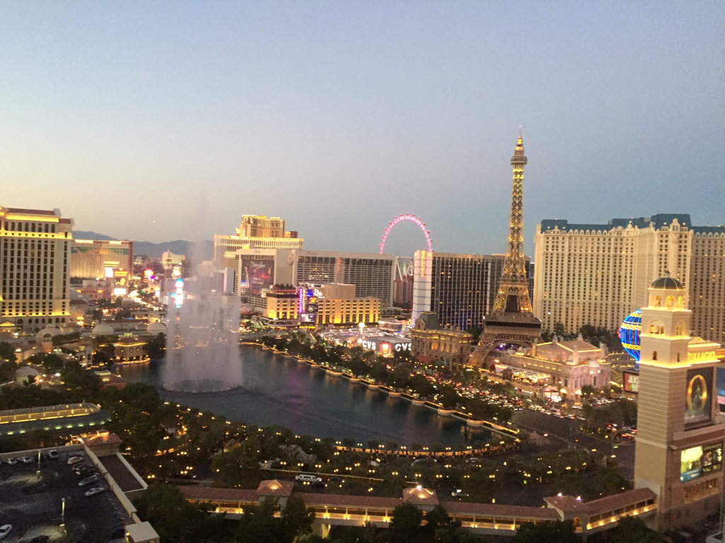 st****** profile image