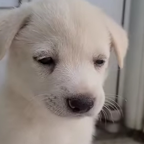 ab******* profile image