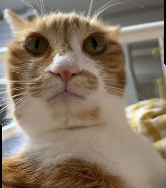 oo****** profile image