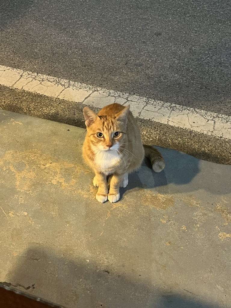 ho****** profile image