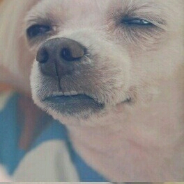 ak****** profile image