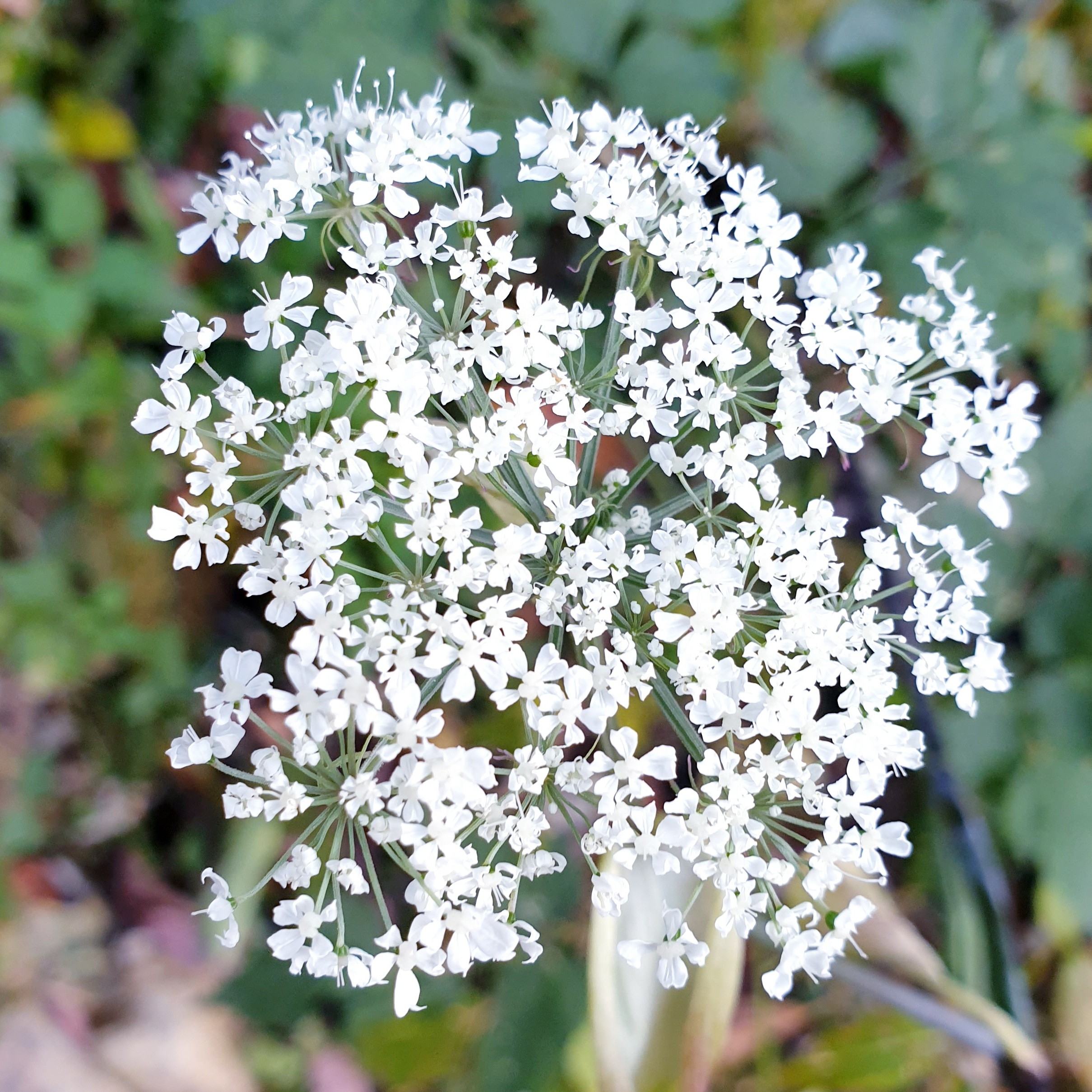 ek******** profile image