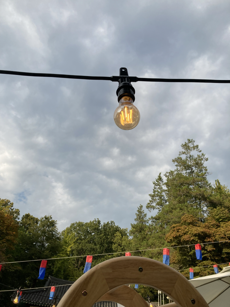 sh******* profile image