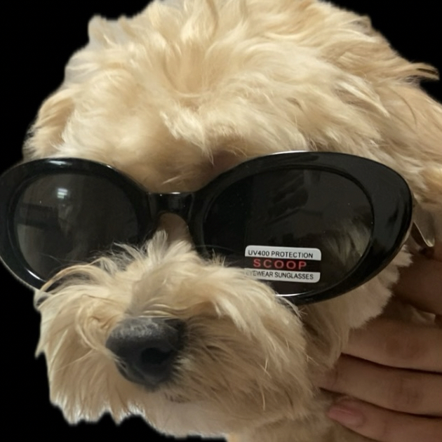 se**** profile image