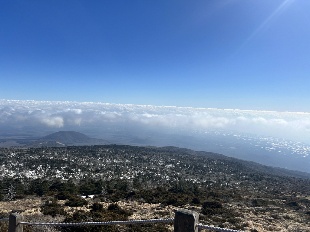 in****** profile image