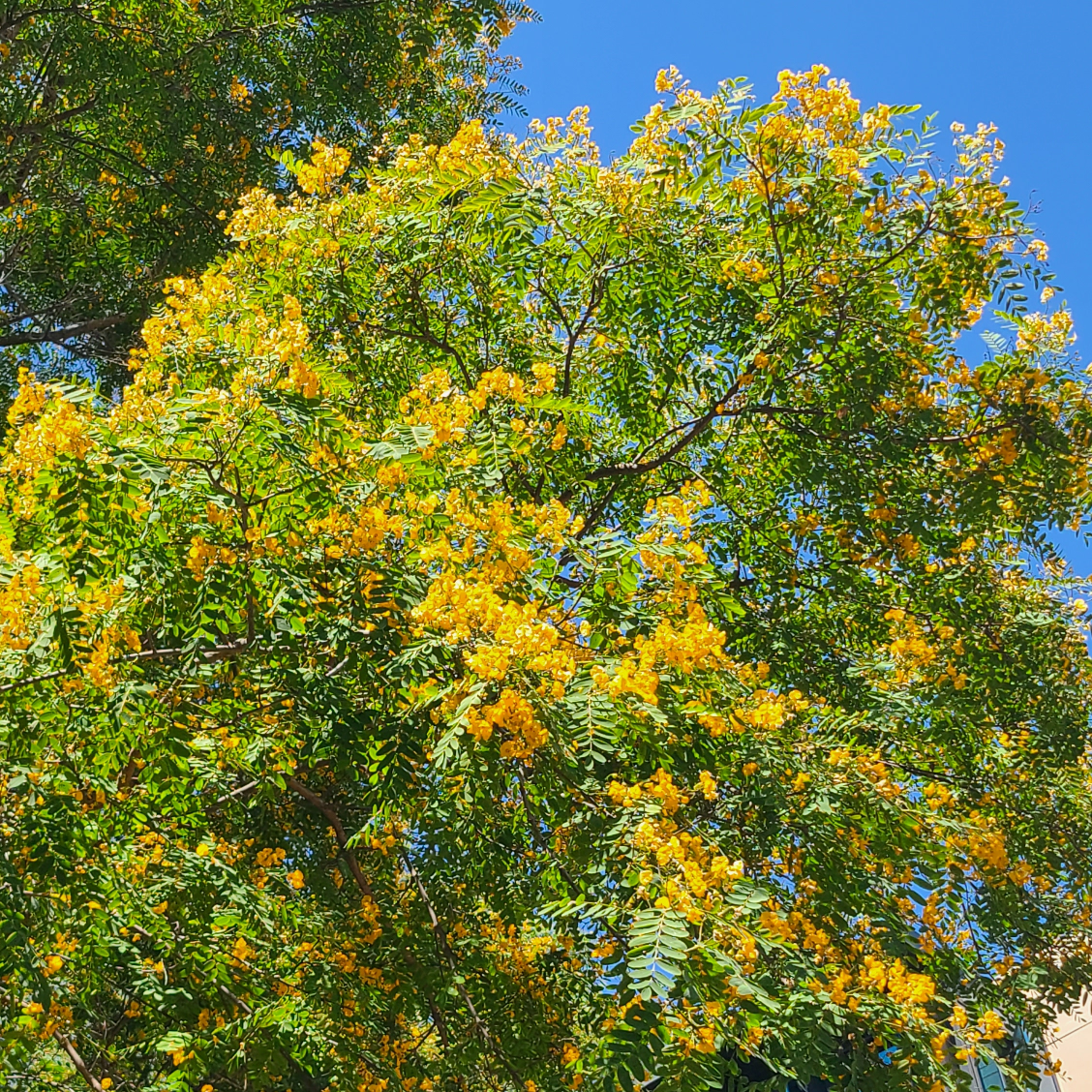 sa****** profile image