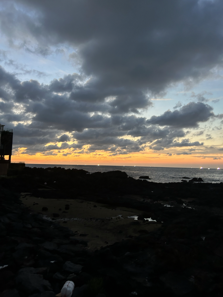 rn******** profile image