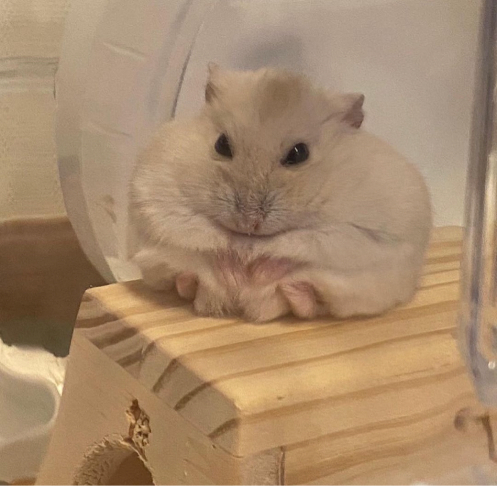 dl********* profile image