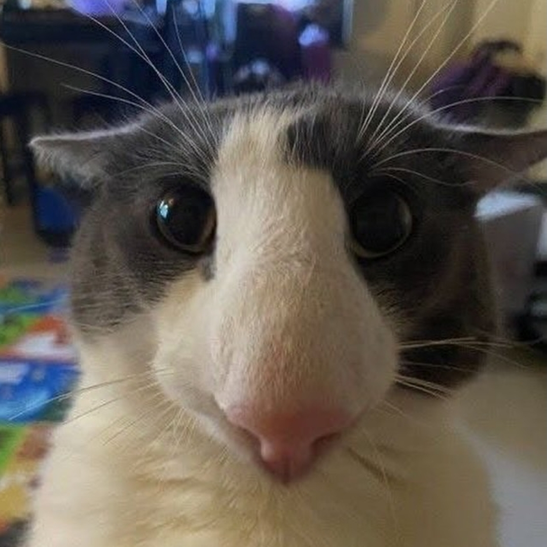 lj****** profile image