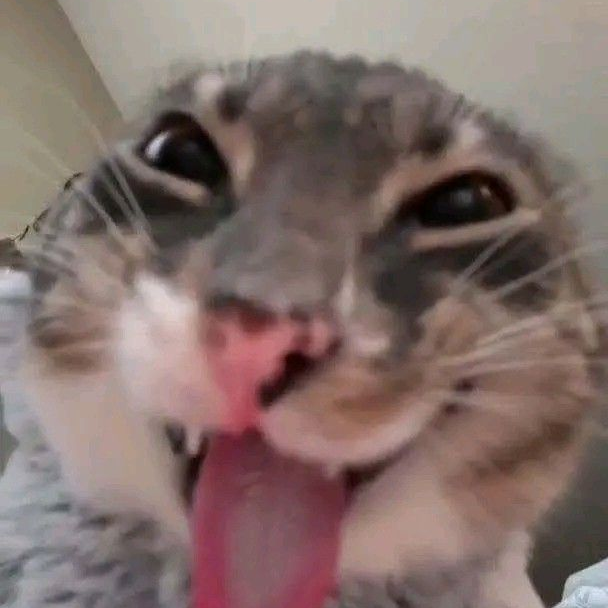 lj****** profile image