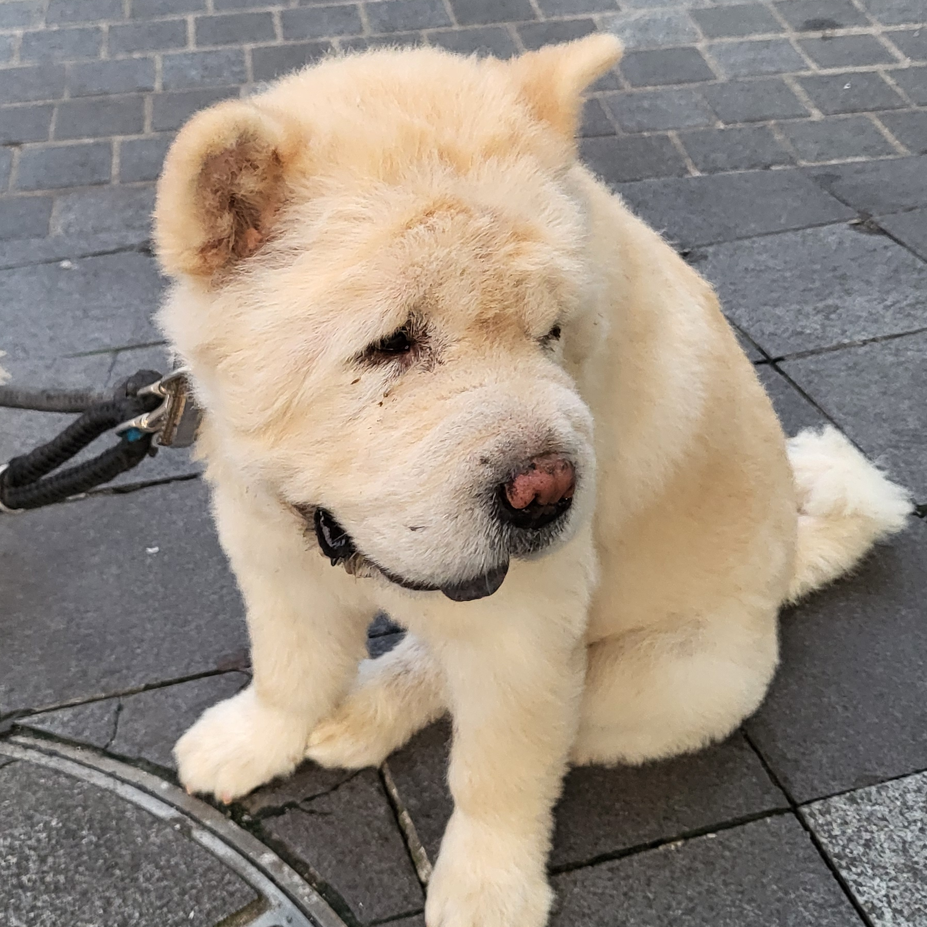 sa**** profile image