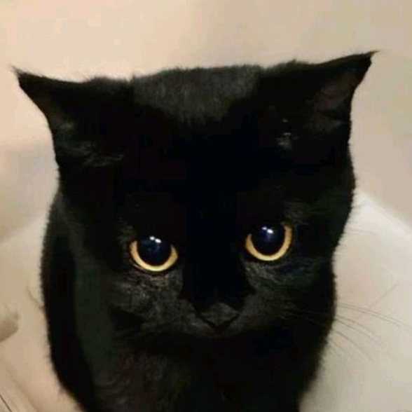 b9******* profile image