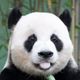 ri****** profile image