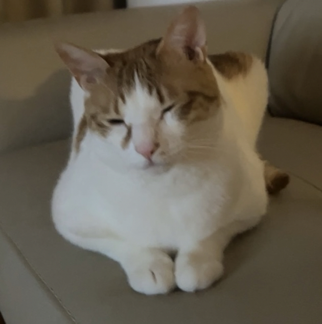 d5******** profile image