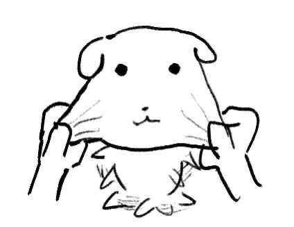 ye******* profile image