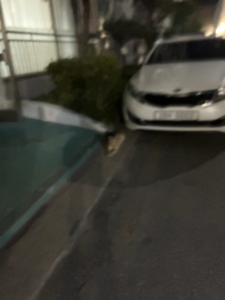 a0********** profile image