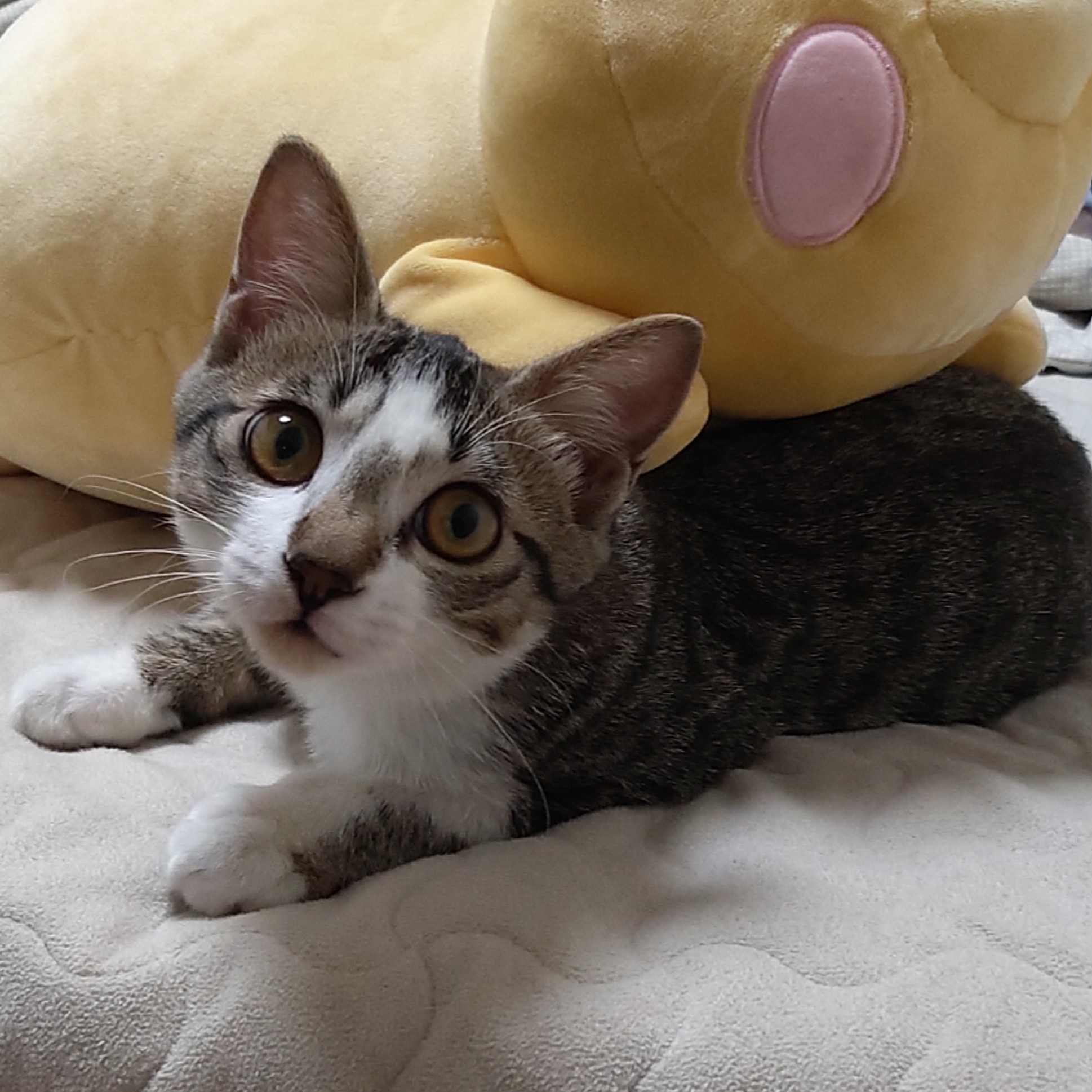 bk**** profile image