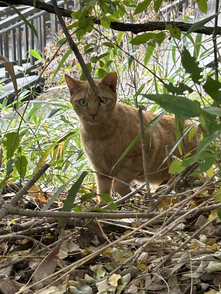 rk******* profile image