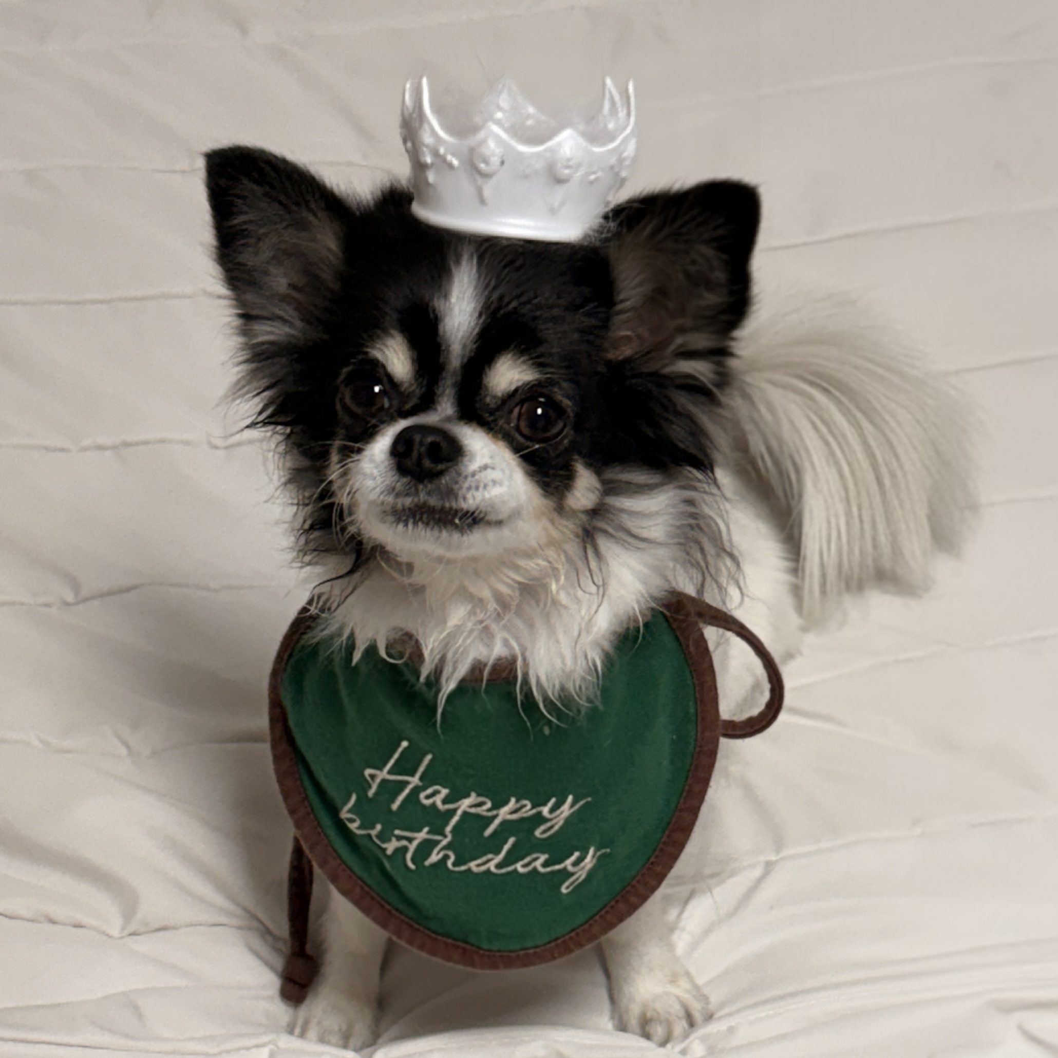 in********* profile image