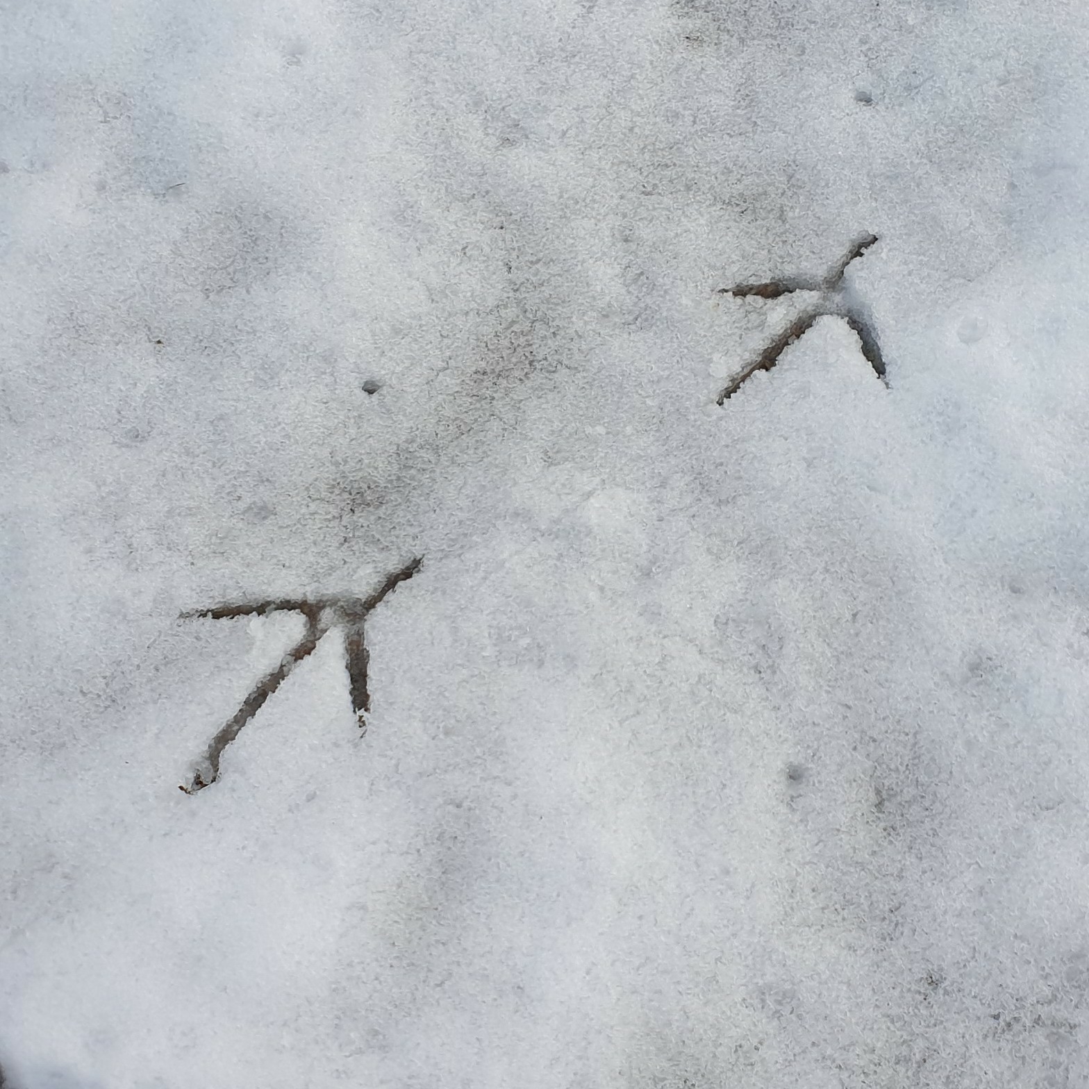 _l********** profile image