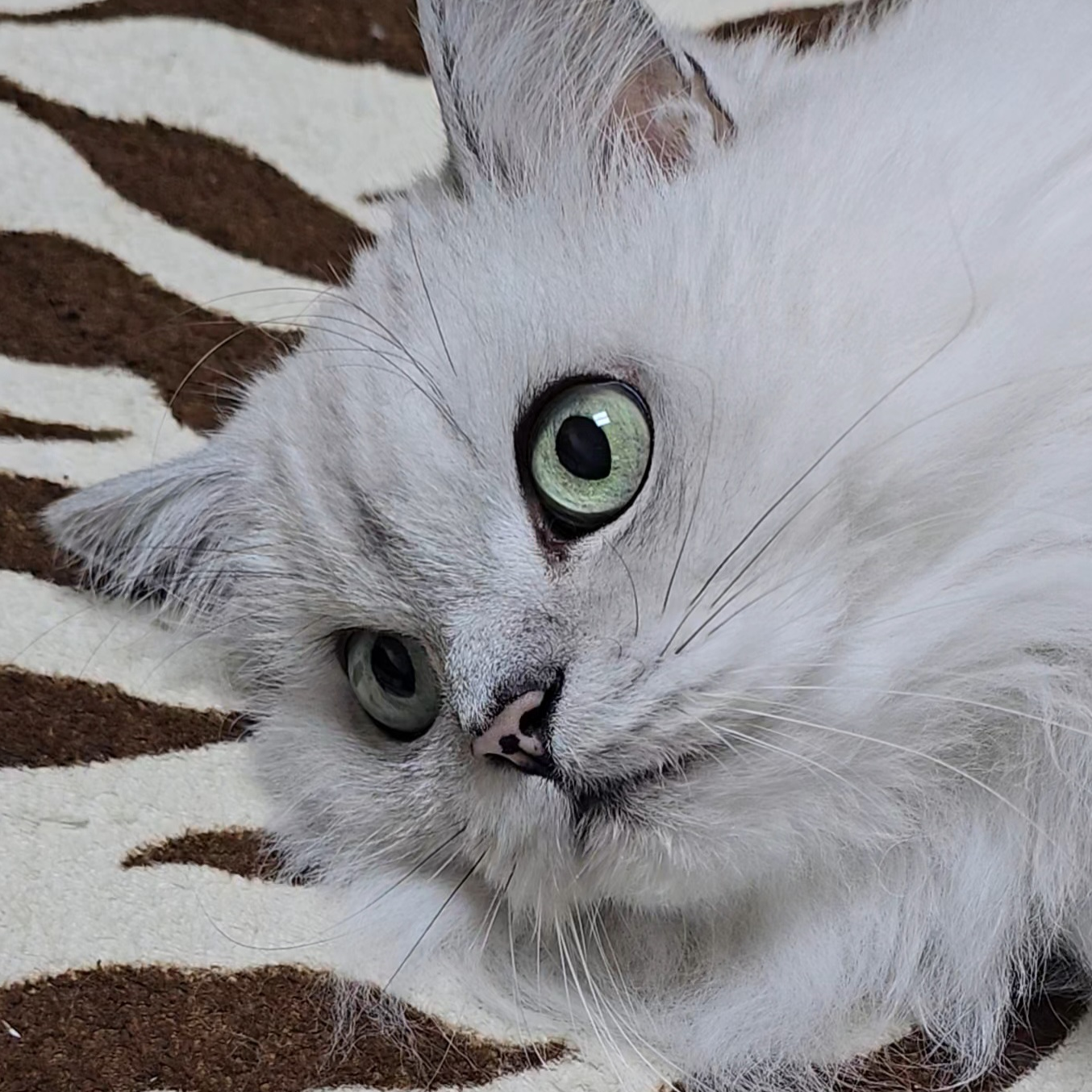 po******** profile image