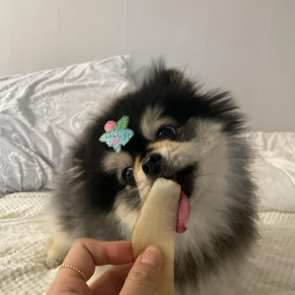 cj******** profile image