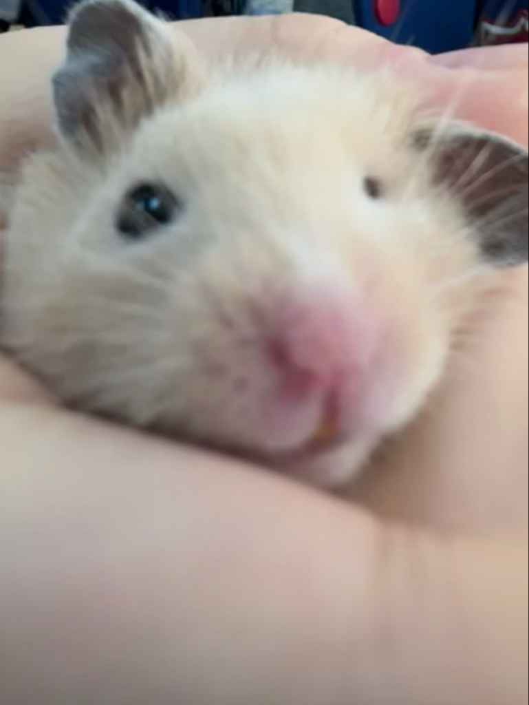 mi********** profile image