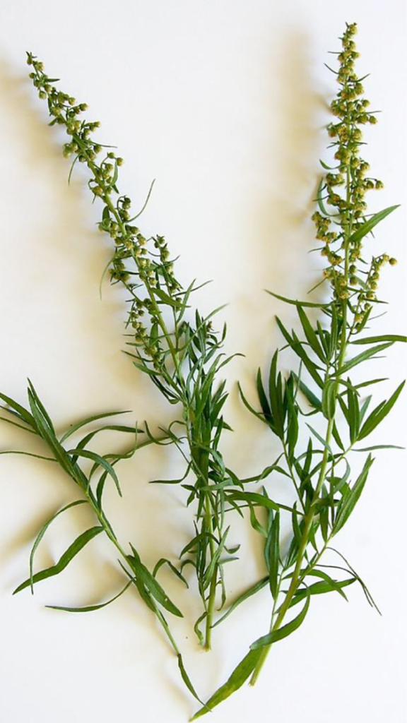 ji**** profile image