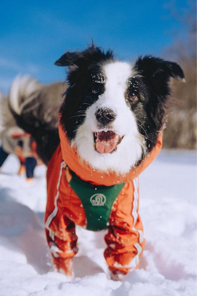 ha************* profile image