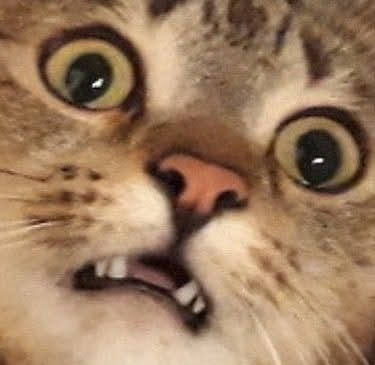 ki***** profile image
