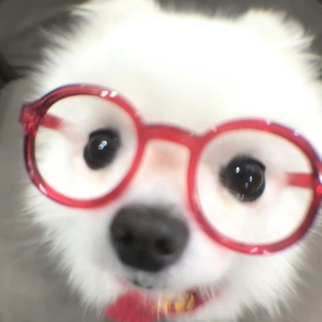 st******** profile image