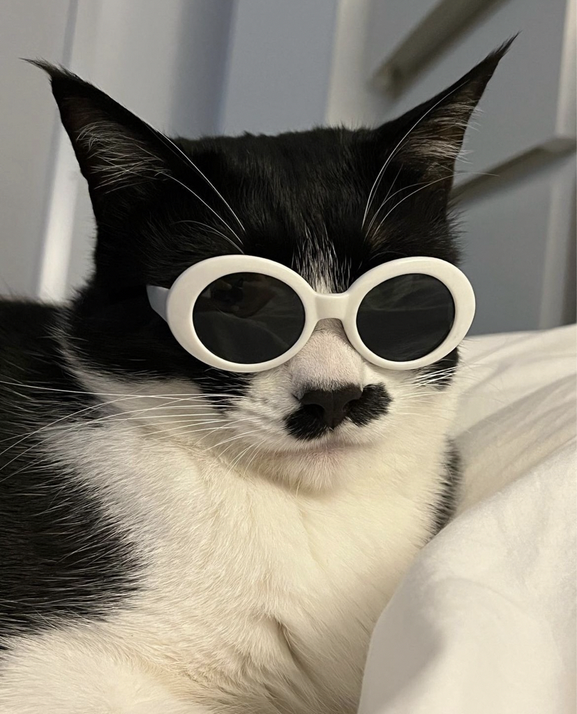 zx**** profile image