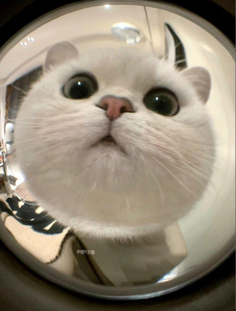 vi******* profile image