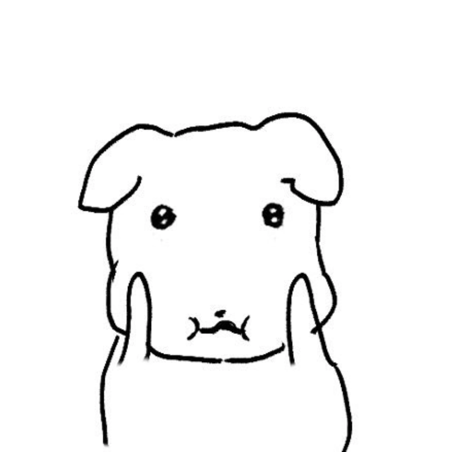 ky****** profile image