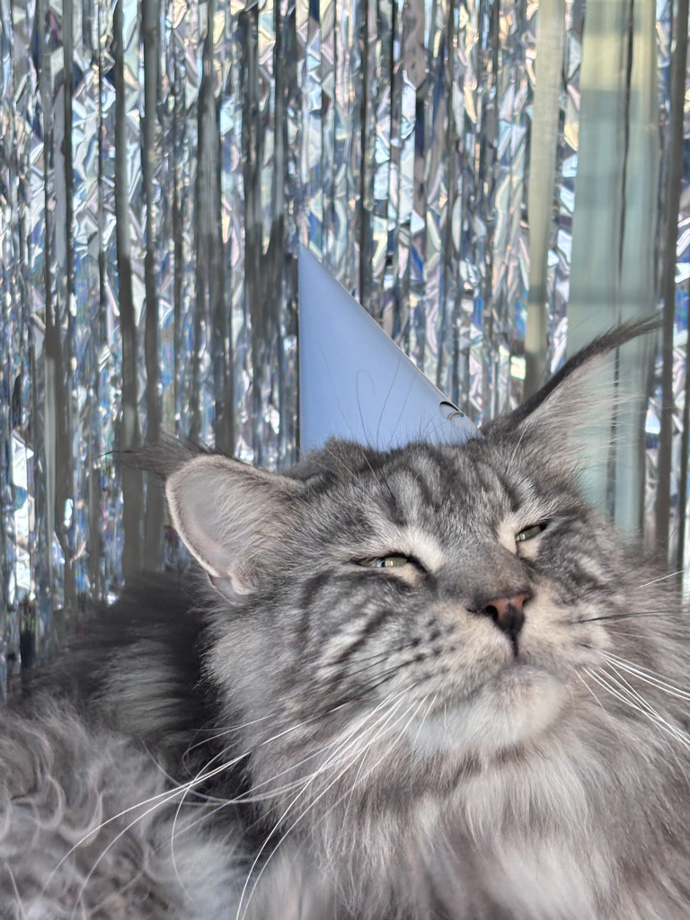 vl********* profile image