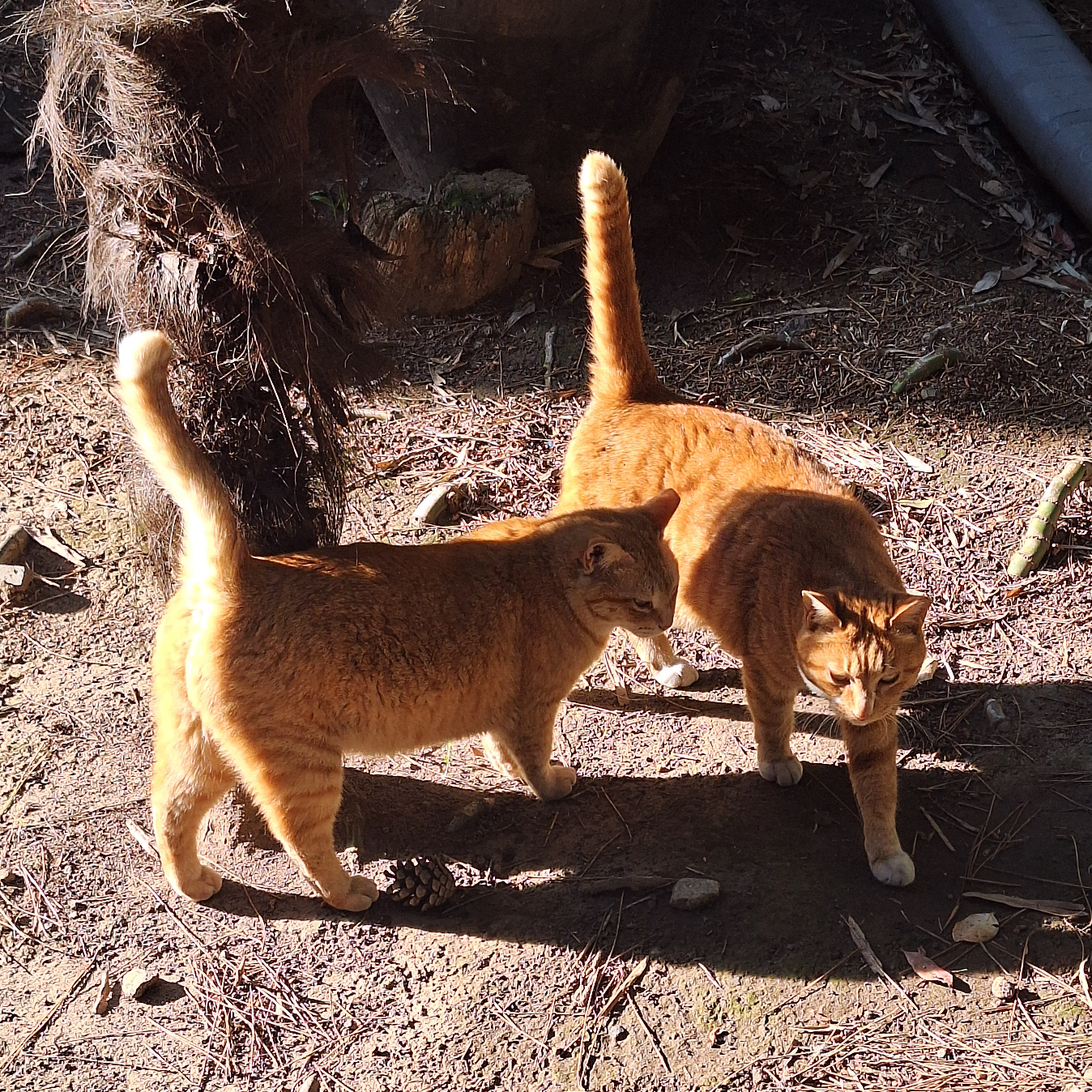 mo********* profile image