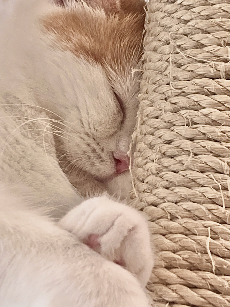 li********** profile image