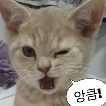 yj******** profile image