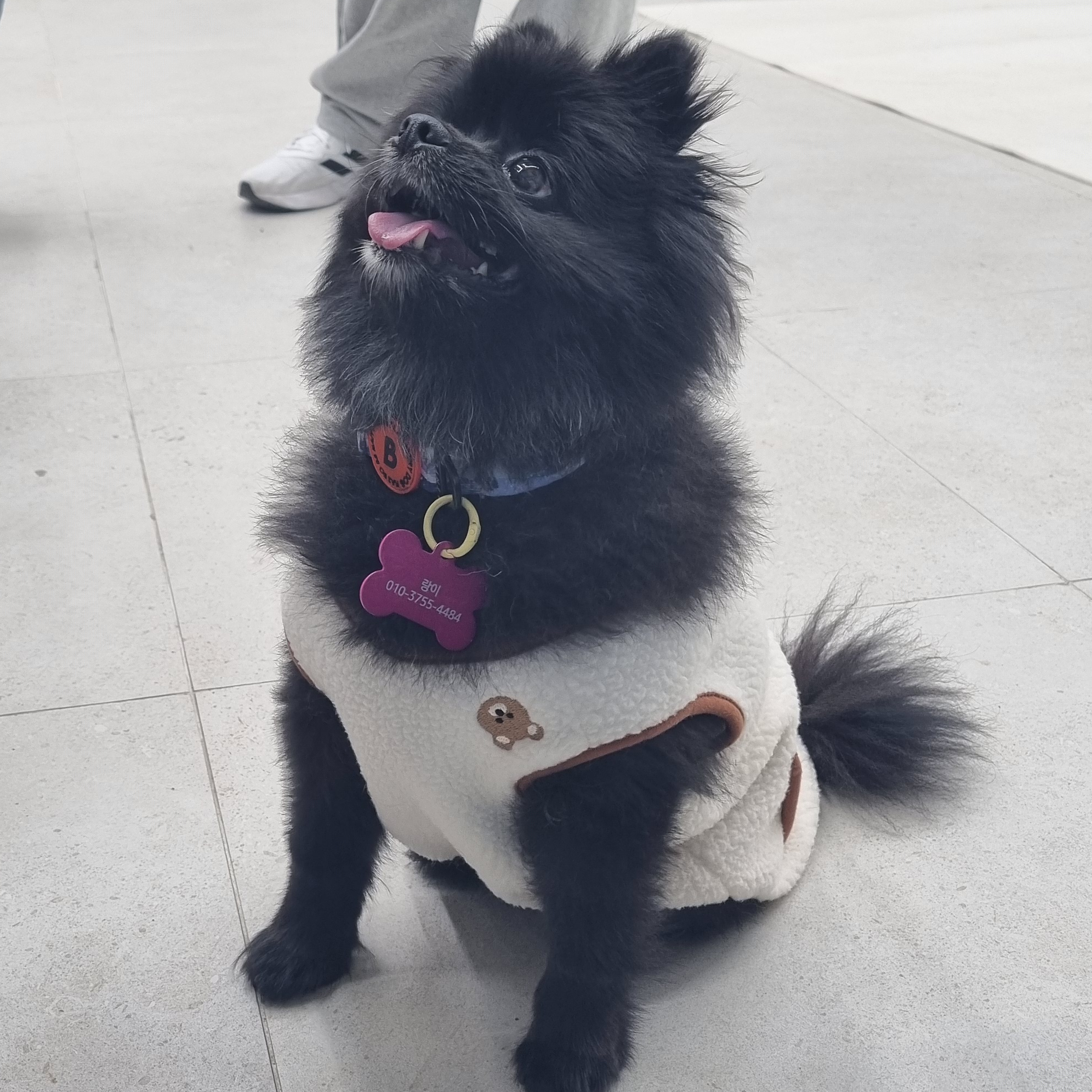 ye************ profile image