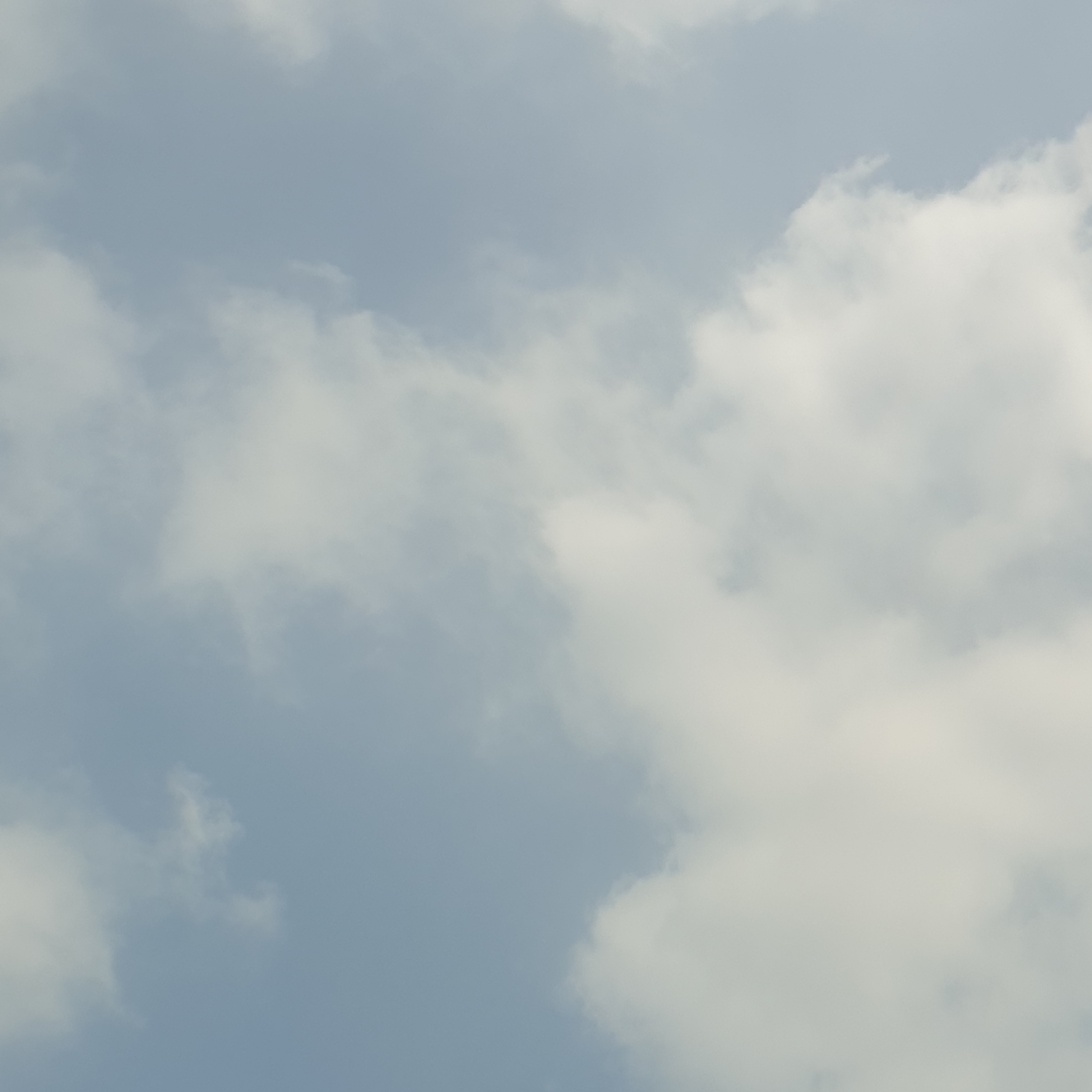 da********* profile image