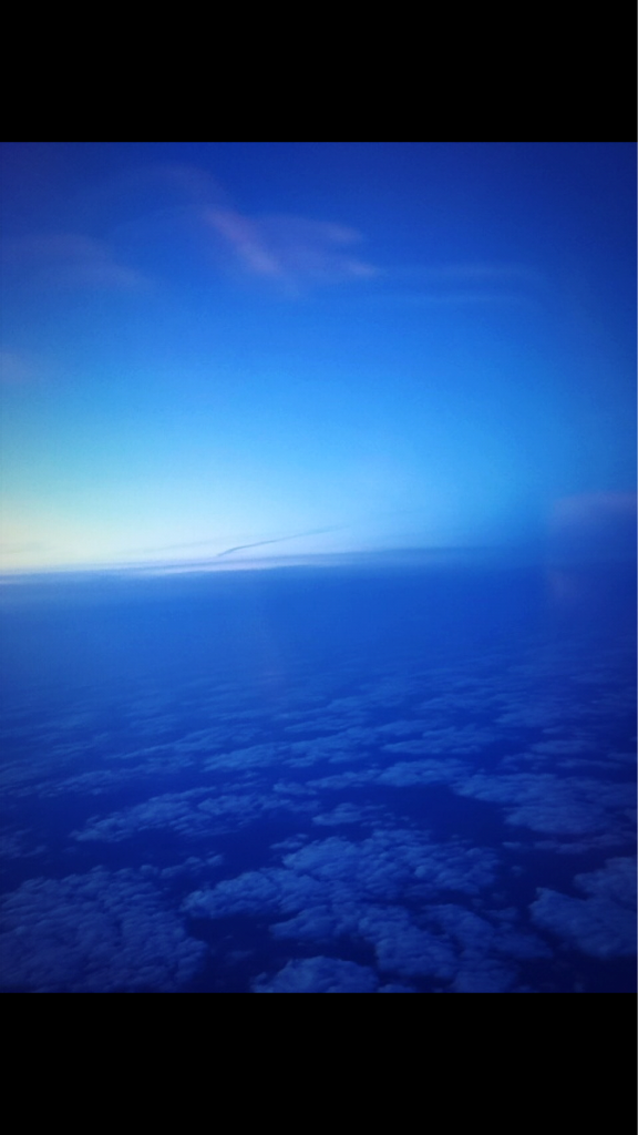 di****** profile image