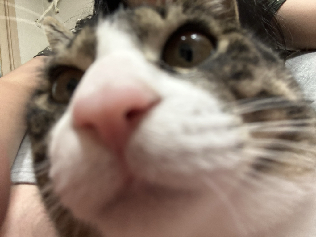 rm***** profile image