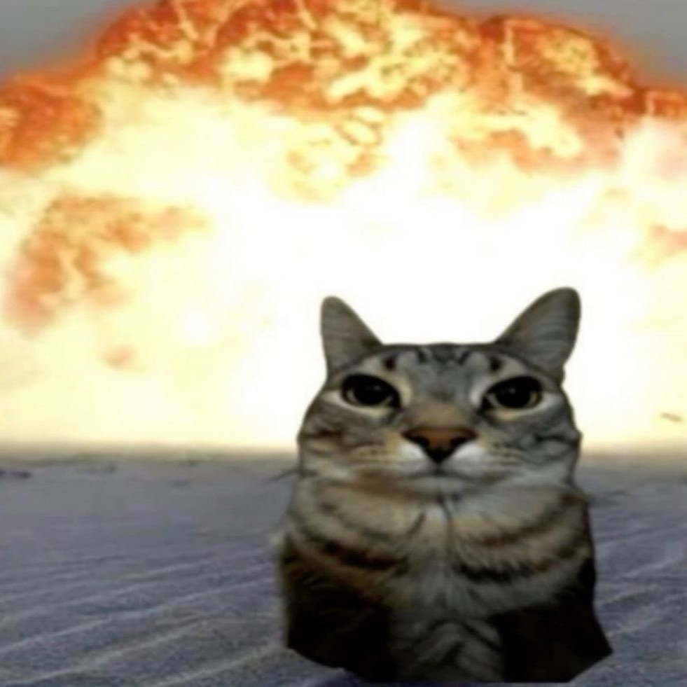 5h***** profile image